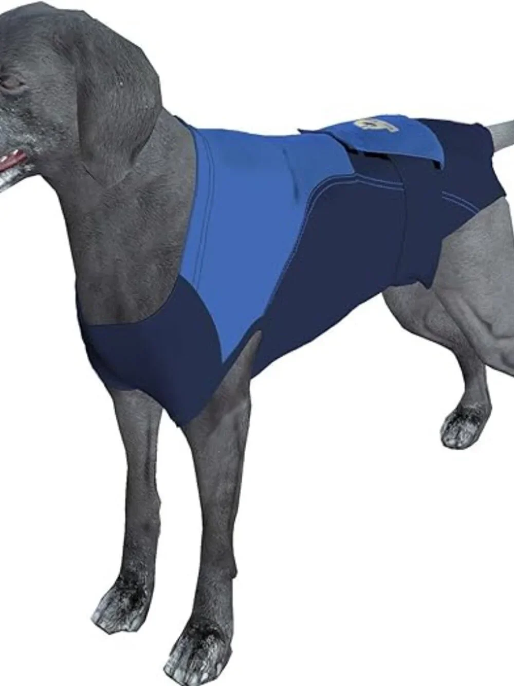 The Wonder Suit Surgi Snuggly Dog  E-Collar Alternative Size ML Medium Long Blue